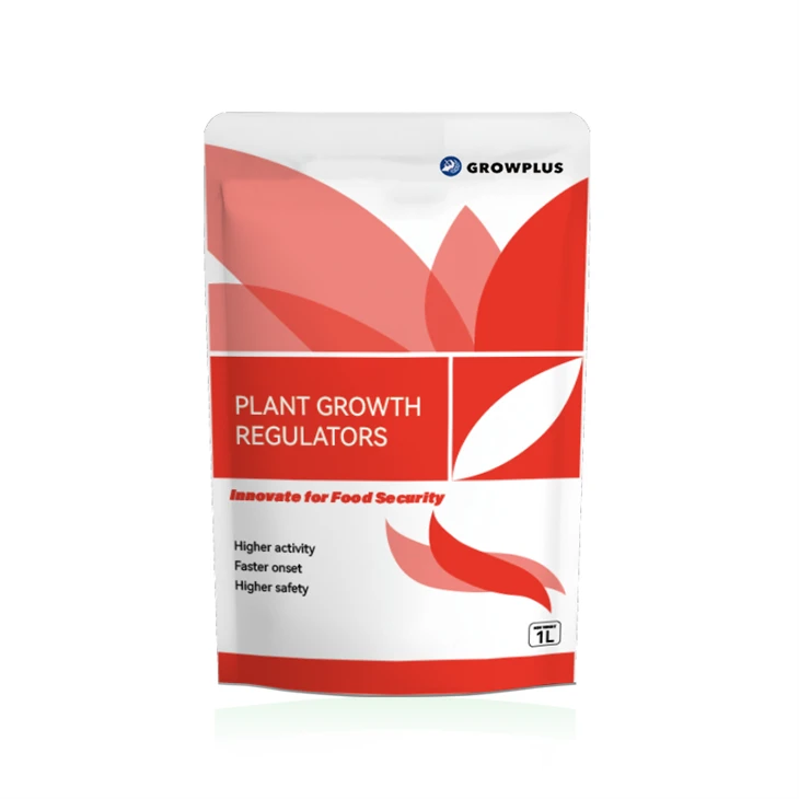 Gibberellin in Plants best